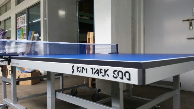 table tennis shop singapore