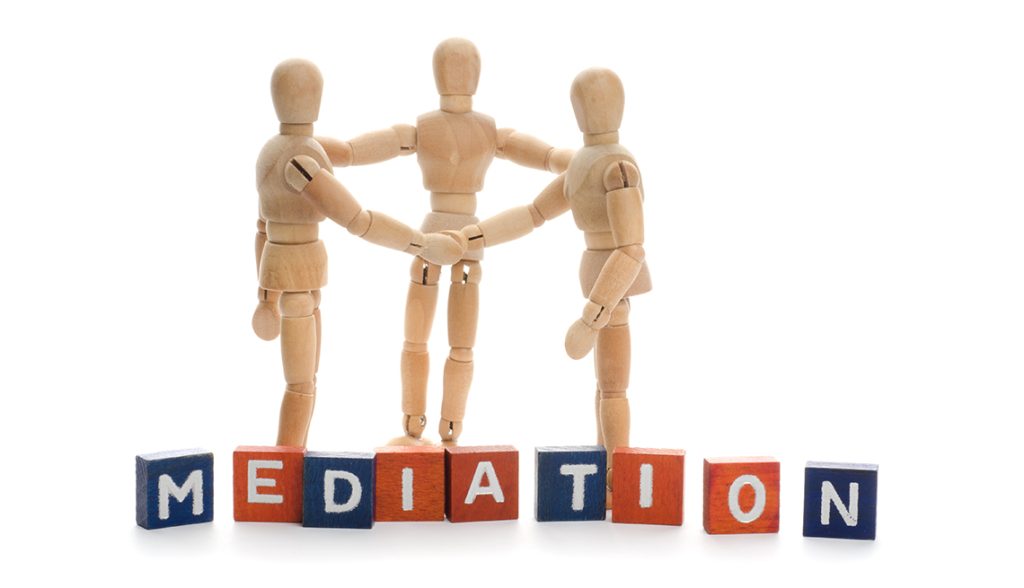 Professional Mediation Services